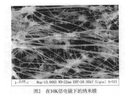 不銹鋼螺旋輸送機