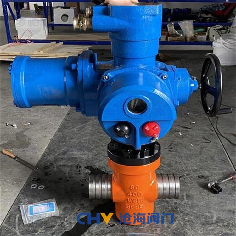 CHVJ滄海S19TZF-108-40Mpa特高壓平板閘閥